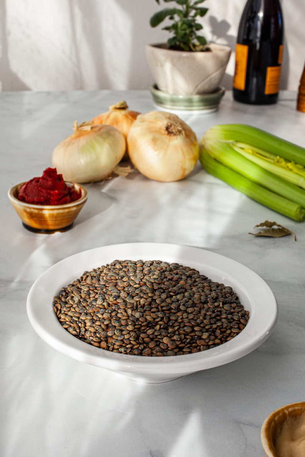 French Lentils Braised in Red Wine and Caramelized Onions Balancing Bowls