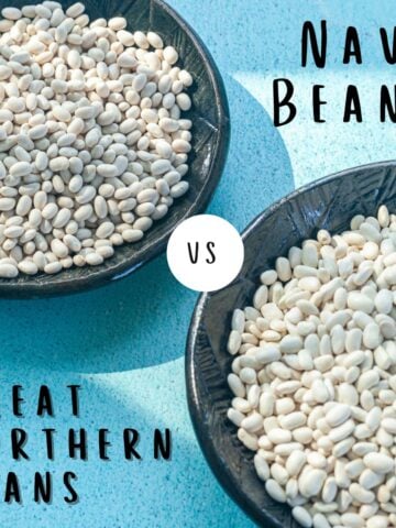 navy bean vs great northern beans