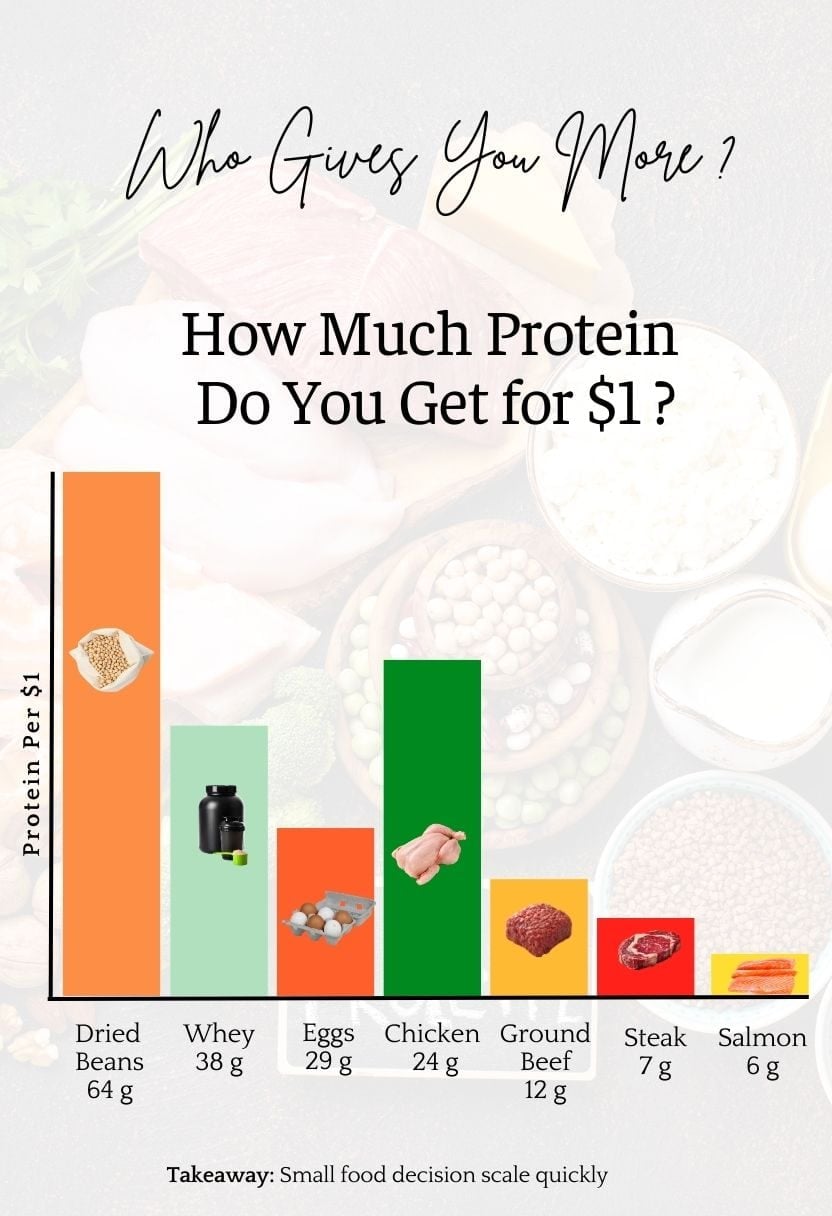 A comparison chart displays the amount of protein in grams for one dollar spent on various food items, showcasing beans as the most cost-effective option.