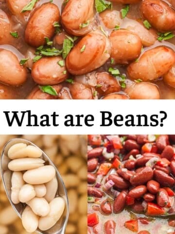 A collage of three different bean dishes, including creamy white beans on a spoon, red kidney bean salad, and pinto beans in broth.