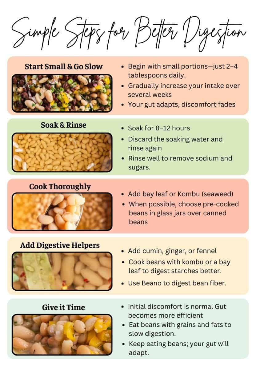 make me url slug, make me alt text, caption, description in 1-2 sentences, blog url slug for this image for Why Do Beans Make You Gassy?