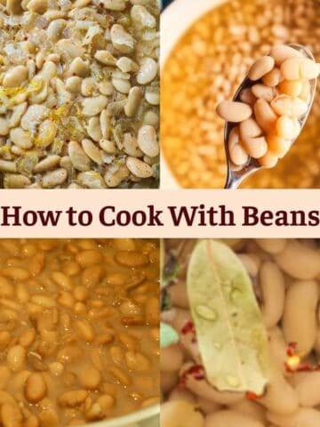 Different preparations of white beans, including sautéed, in broth with a spoon, in a thicker gravy, and with bay leaves.